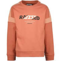 RAIZZED Jongens Sweater Jamison Faded Rust